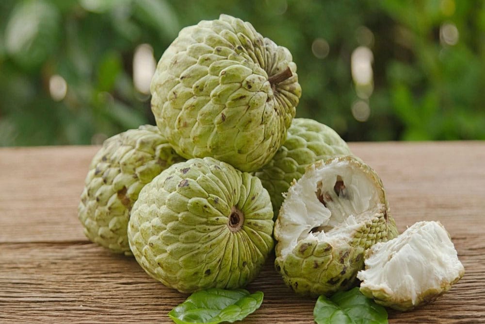Đặc sản mãng cầu Bà Đen